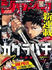 恰似寒光遇骄阳漫画 番外 侧幕 剧情卡片